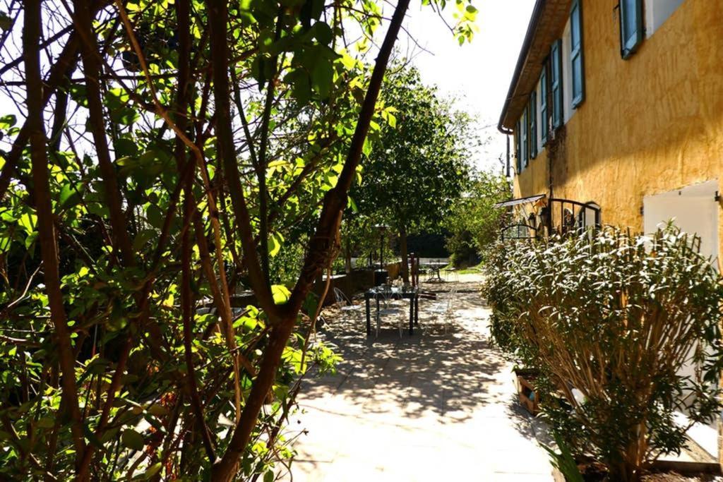 Belle Longere Au Calme - L'Auguste Maison D'Hotes Valensole Ngoại thất bức ảnh