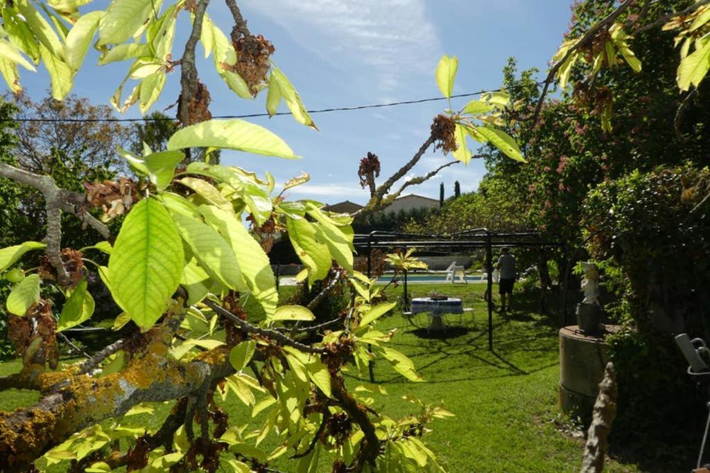 Belle Longere Au Calme - L'Auguste Maison D'Hotes Valensole Ngoại thất bức ảnh